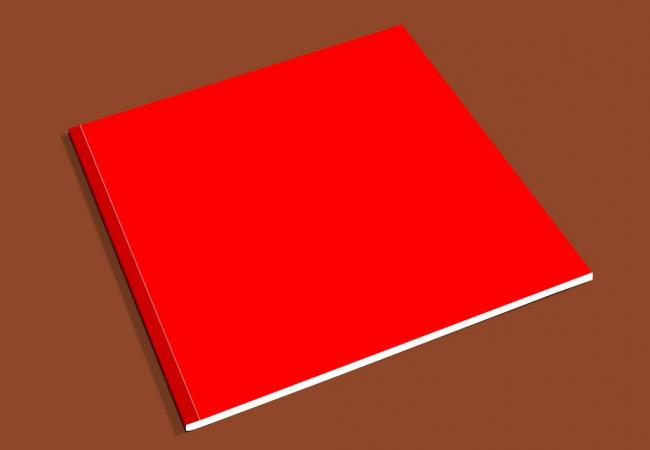宣傳畫冊(cè)印刷_畫冊(cè)印刷—豪彩佳印品質(zhì)優(yōu)異,價(jià)格公道,服務(wù)貼心!
